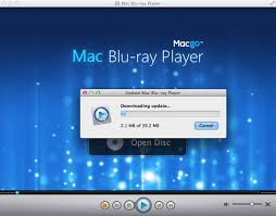 crack mac_bluray_player_for_windows